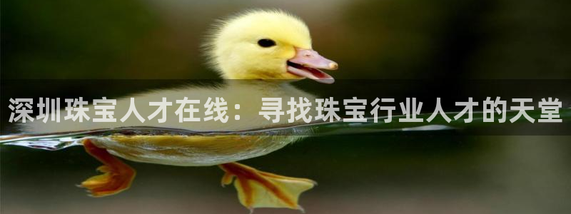 天宏娱乐老板
