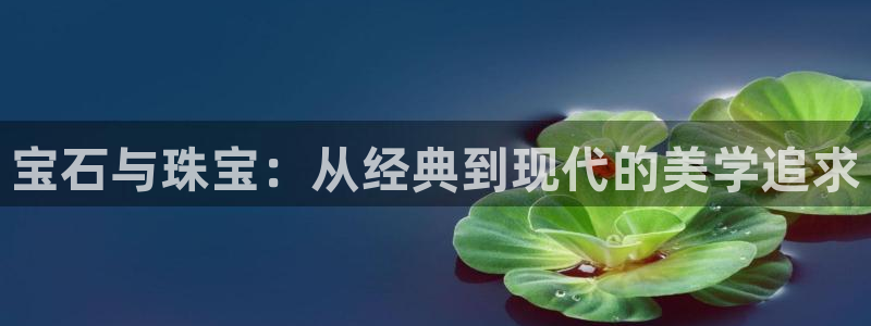天宏娱乐直播团队名单