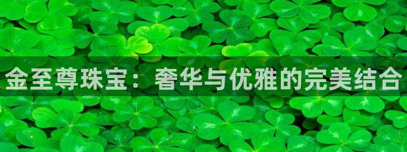 天宏娱乐