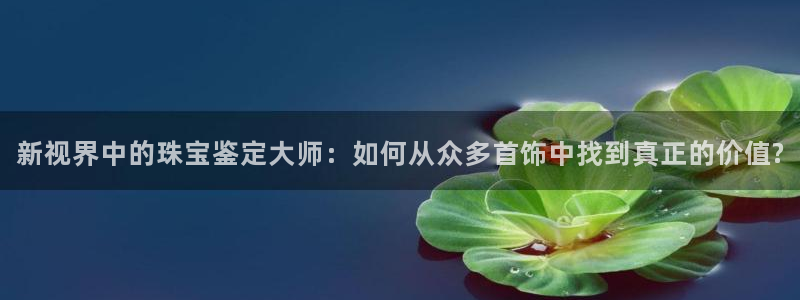 天宏娱乐卢叔