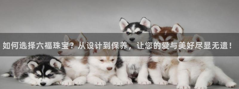 金叔直播天宏娱乐直播