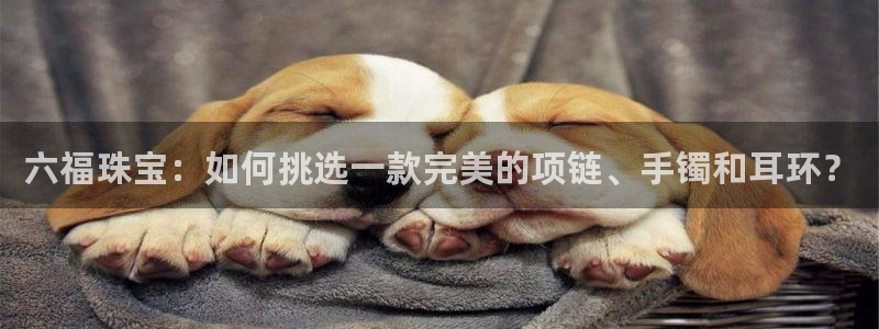 天宏娱乐北北：六福珠宝：如何挑选一款完美的项链、手镯和耳环？