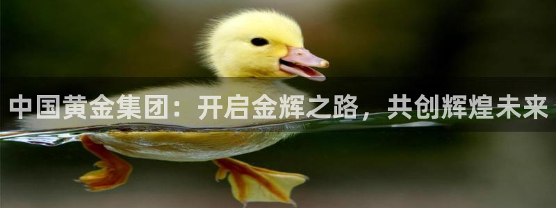 河源天宏娱乐