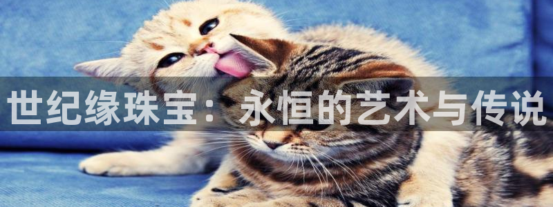天宏娱乐会所地址查询