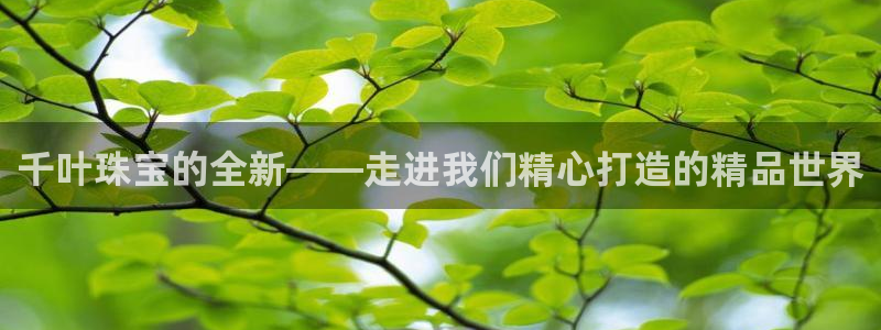 天宏娱乐朱俊伟