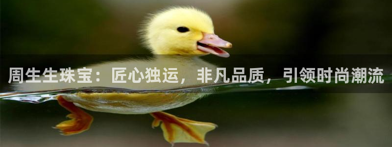 天宏娱乐乐天跃娱乐