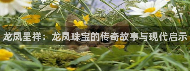 天宏娱乐c 判官