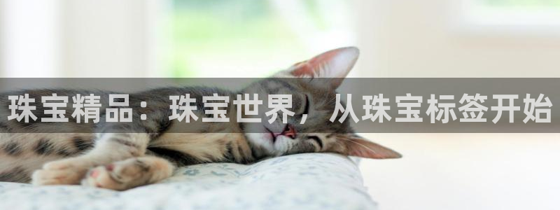 株洲天宏娱乐会所地址
