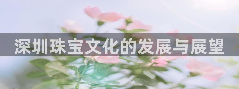 天宏娱乐金大叔