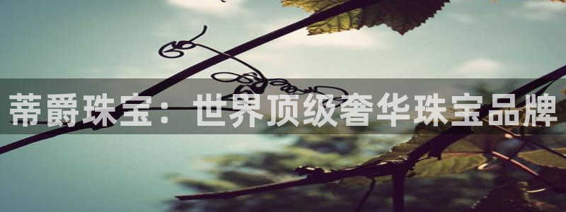天宏娱乐直播团