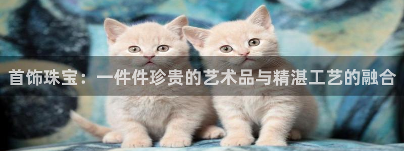 天宏娱乐王总
