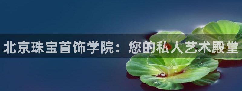 天宏娱乐l 判官