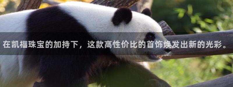 天宏娱乐地址