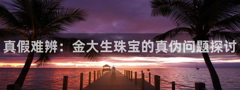 天宏娱乐m 判官