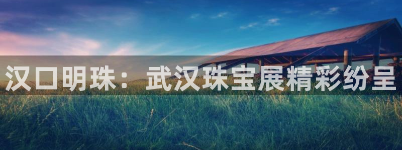 天宏娱乐2主管：汉口明珠：武汉珠宝展精彩纷呈