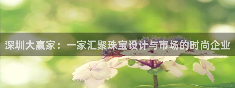 天宏娱乐app平台怎么下载：深圳大赢家：一家汇聚珠宝设计与市