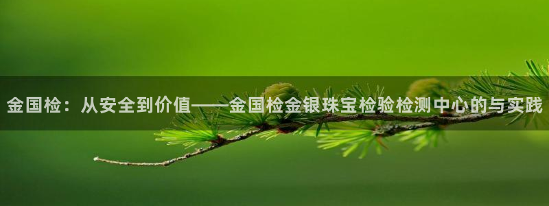 天宏娱乐 直播间怎么进：金国检：从安全到价值——金国检金银珠