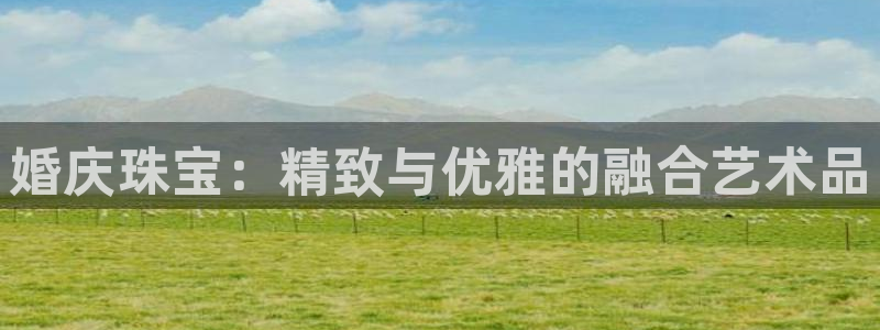 天宏娱乐主管q844389