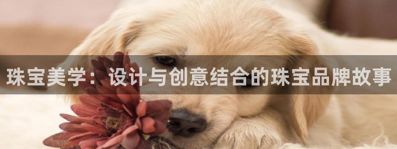 天宏娱乐666直播