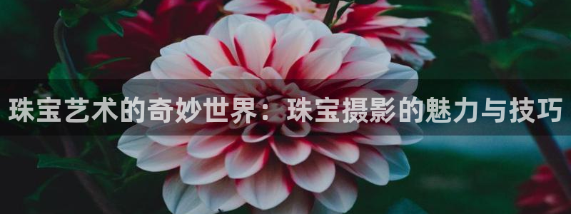 天宏娱乐男孩