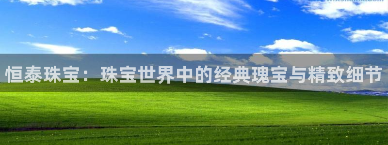 天宏娱乐 直播间怎么进