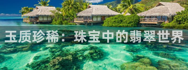 天宏娱乐总店电话多少：玉质珍稀：珠宝中的翡翠世界