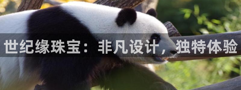 天宏娱乐登陆