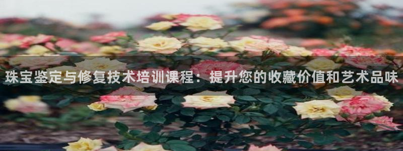 天宏娱乐朱俊伟