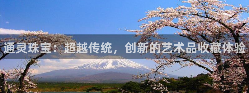 天宏娱乐男孩：通灵珠宝：超越传统，创新的艺术品收藏体验