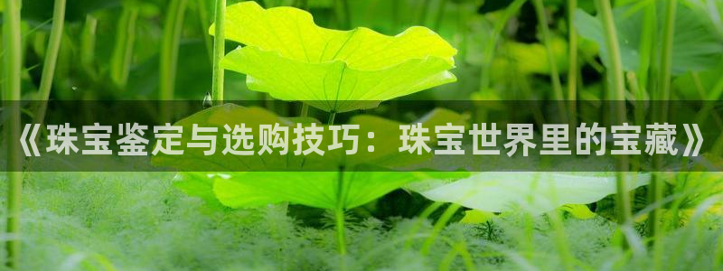 天宏娱乐老板朱俊伟