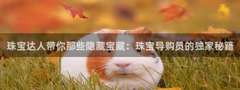 天宏娱乐直播团