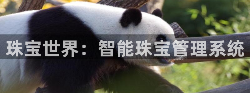 天宏娱乐直播团