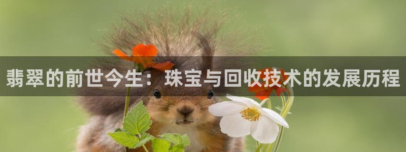 天宏娱乐l 判官