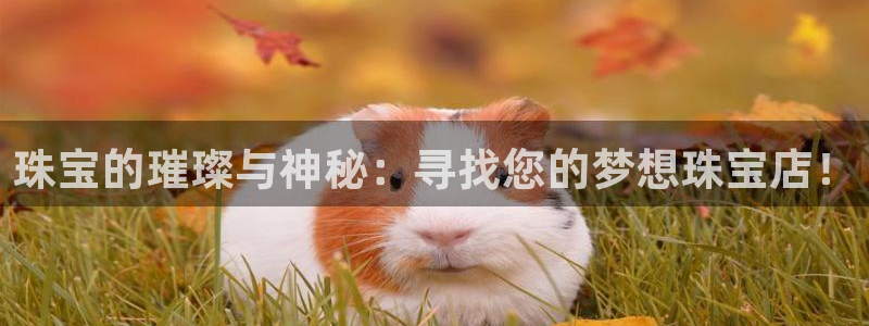 天宏娱乐2主管