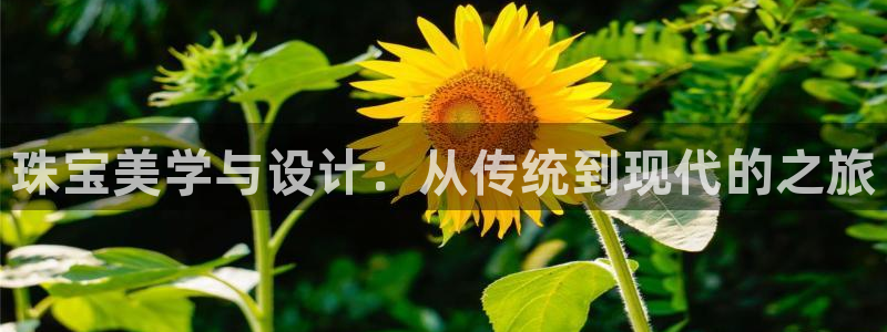 天宏娱乐提现不了：珠宝美学与设计：从传统到现代的之旅