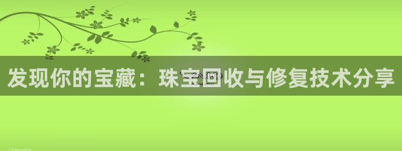 天宏娱乐直播团队介绍：发现你的宝藏：珠宝回收与修复技术分享