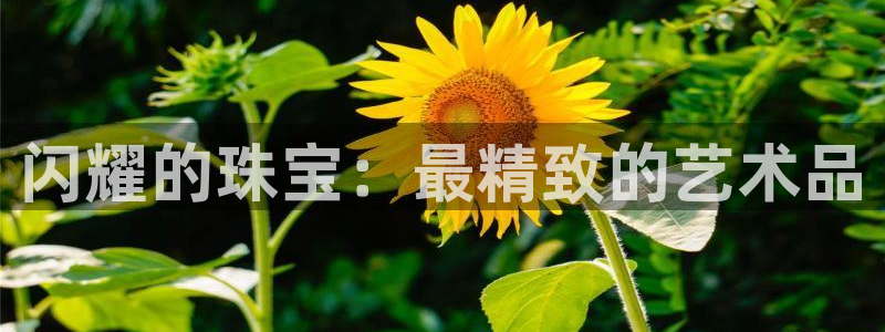 西安天宏娱乐团队招聘