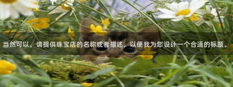 天宏娱乐会所