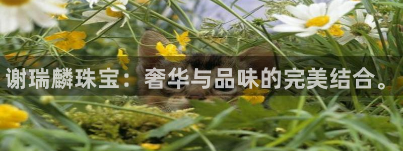 天宏娱乐吴皇