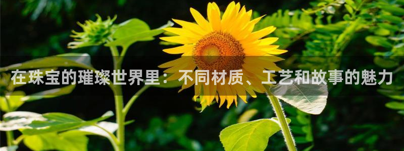 天宏娱乐指尖自