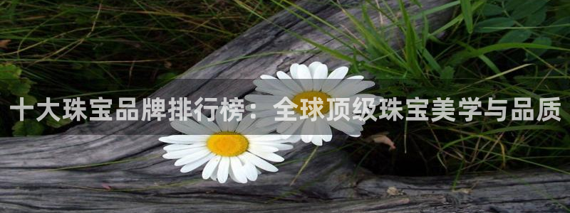 天宏娱乐招商