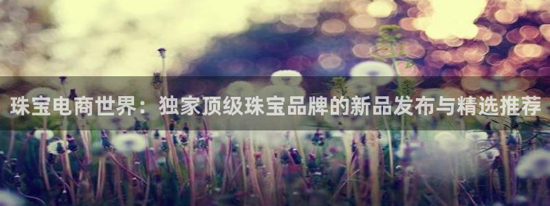 天宏娱乐老男孩文叔