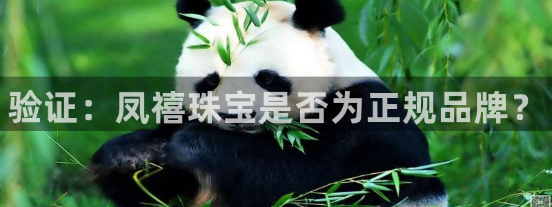 天宏娱乐老板朱俊伟