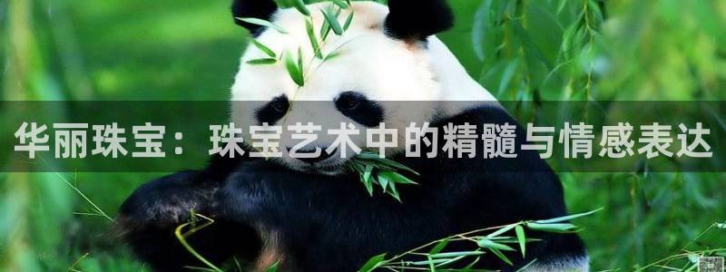 临沂天宏娱乐会所电话地址