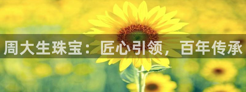 天宏娱乐有限公司