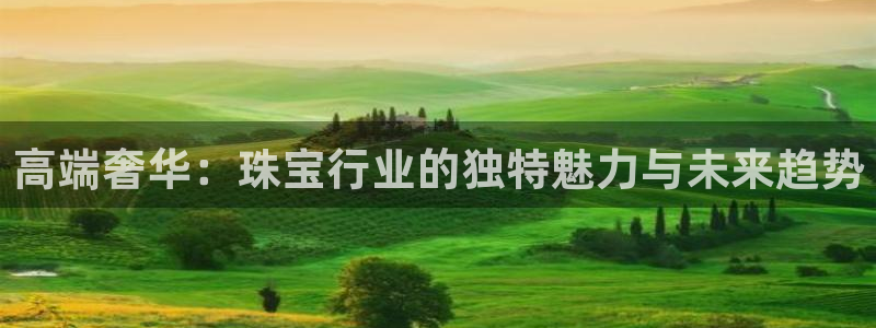 天宏娱乐吴叔