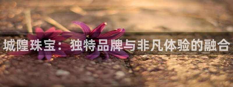 天宏娱乐直播间官网