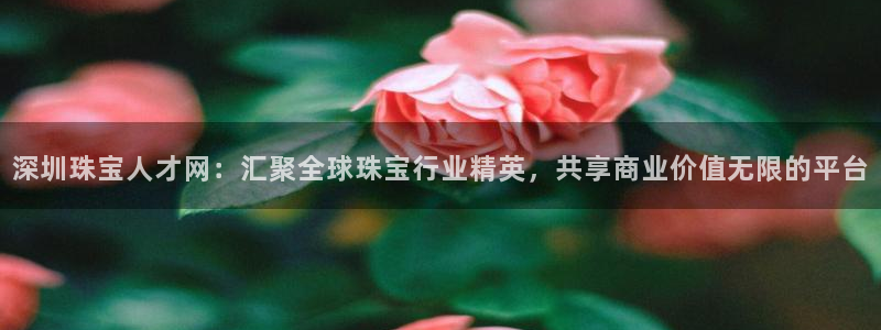 天宏娱乐地址