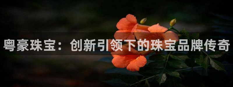天宏娱乐巴扎黑