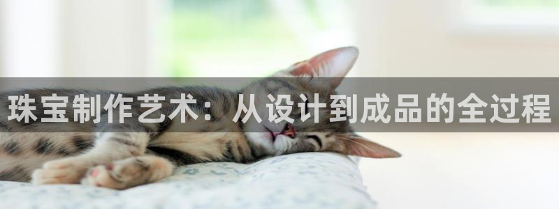 天宏娱乐会所地址